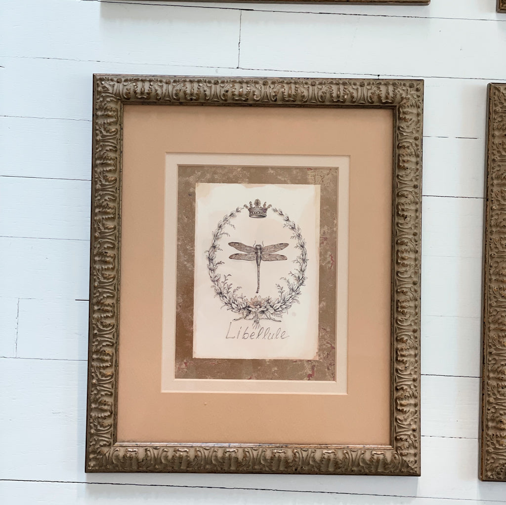 Set of Four Framed French Nature Prints