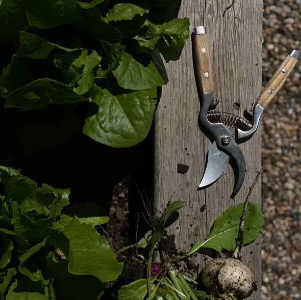 Secateurs with Wooden Handle