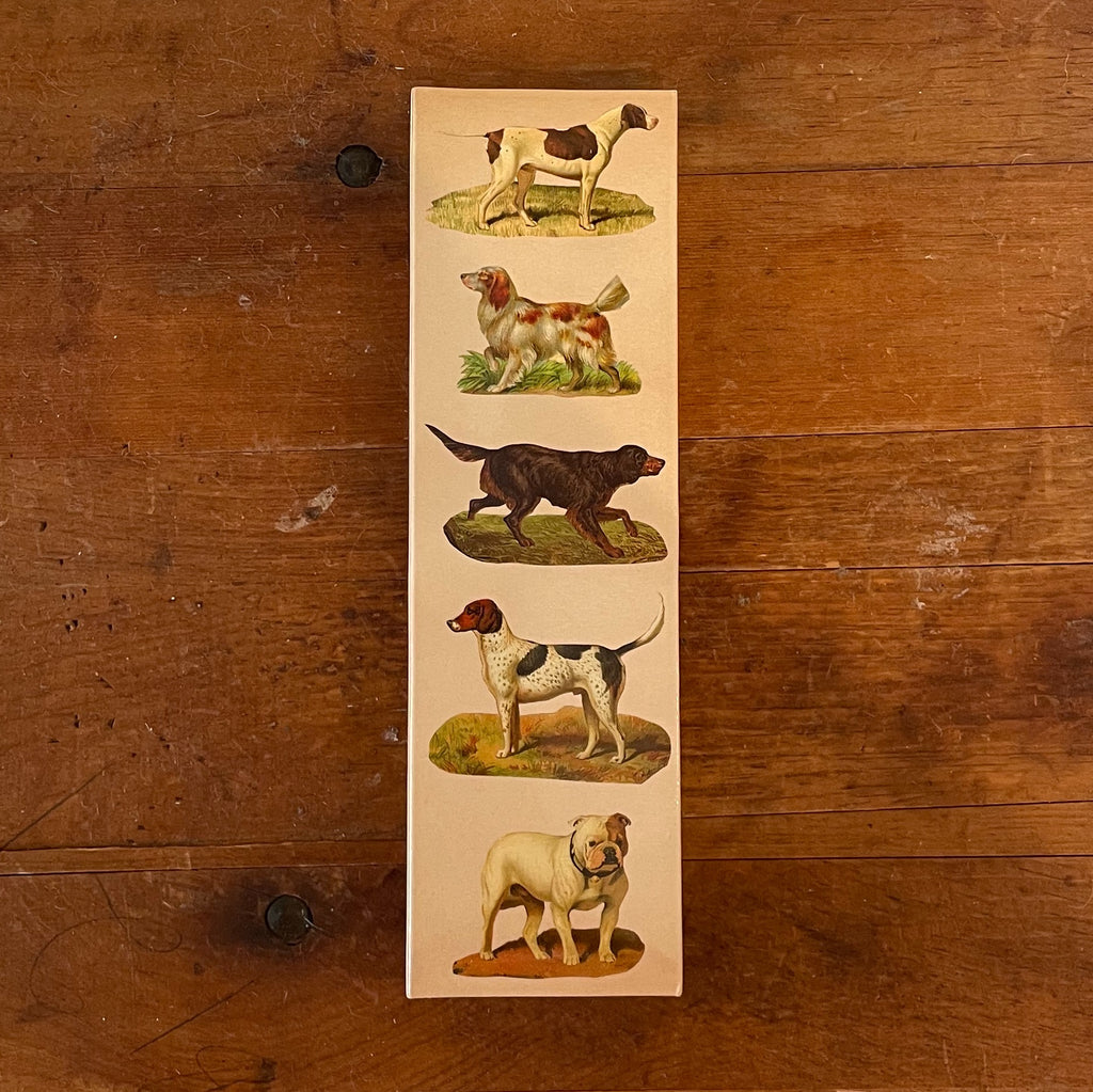 Match Boxes