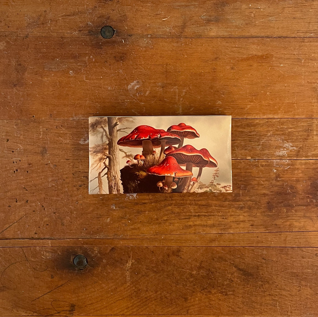 Match Boxes