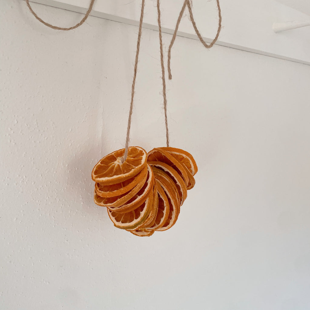 Dried Orange Wheels