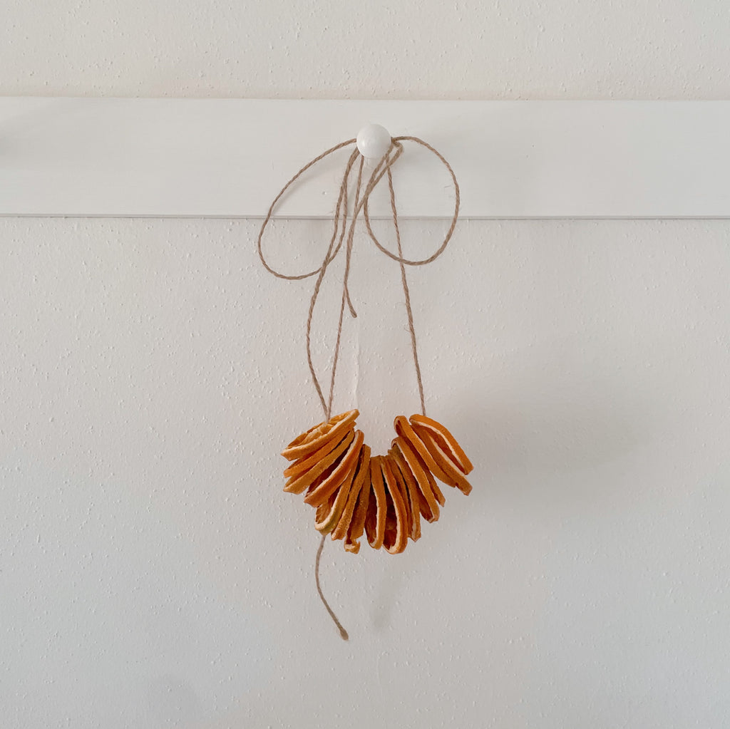 Dried Orange Wheels