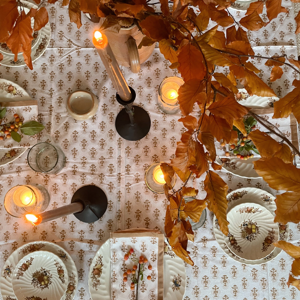 Naturally Dyed Block Print Napkin
