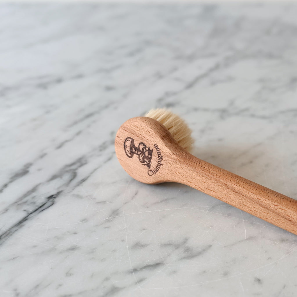 Mushroom Brush