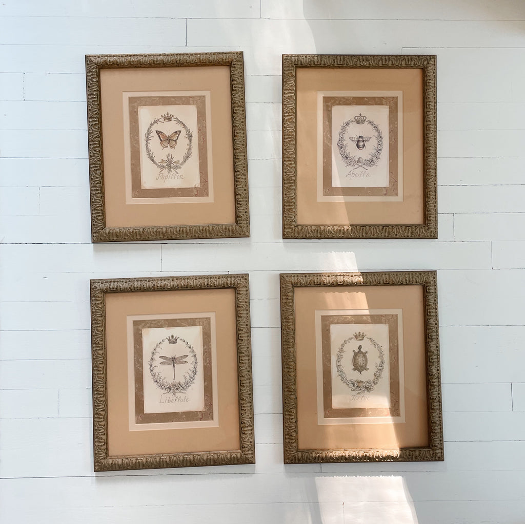 Set of Four Framed French Nature Prints