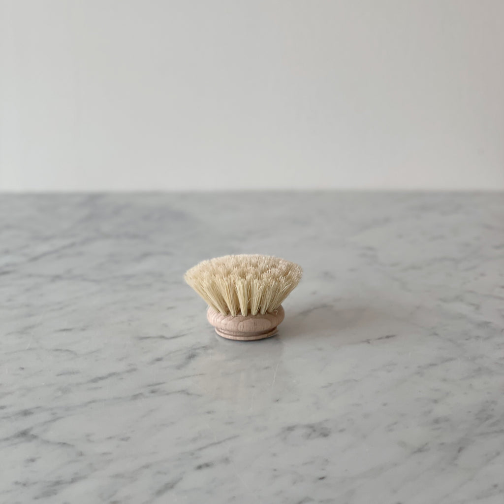 Replacement Head for Dish Brush with Handle