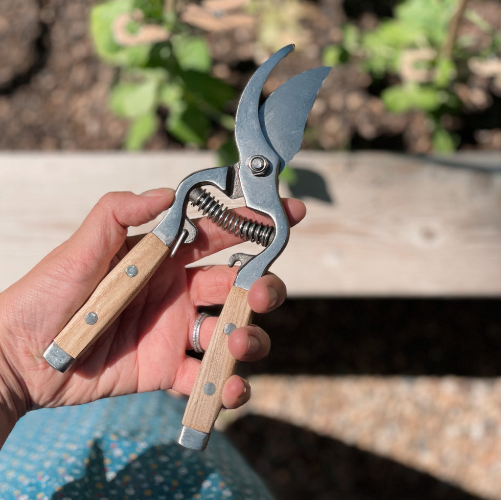 Secateurs with Wooden Handle