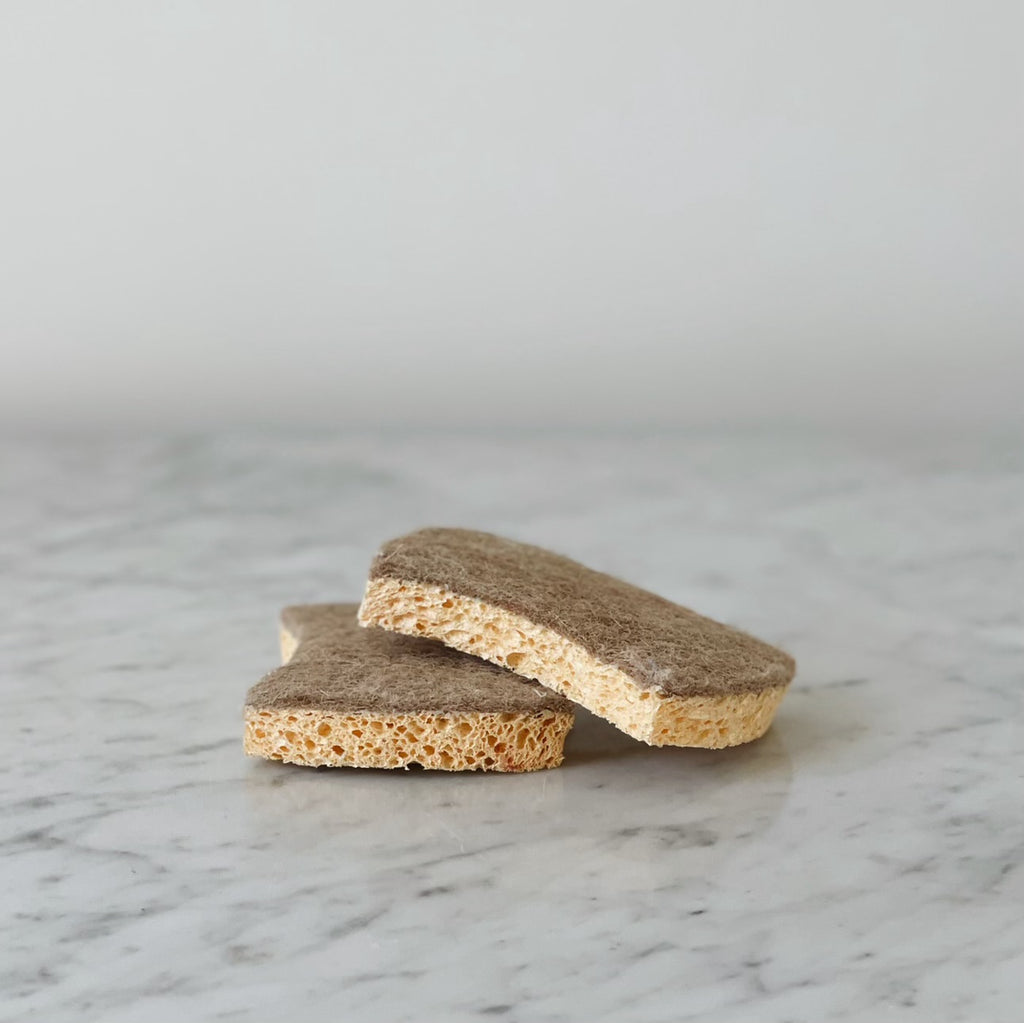 Eco Sponges