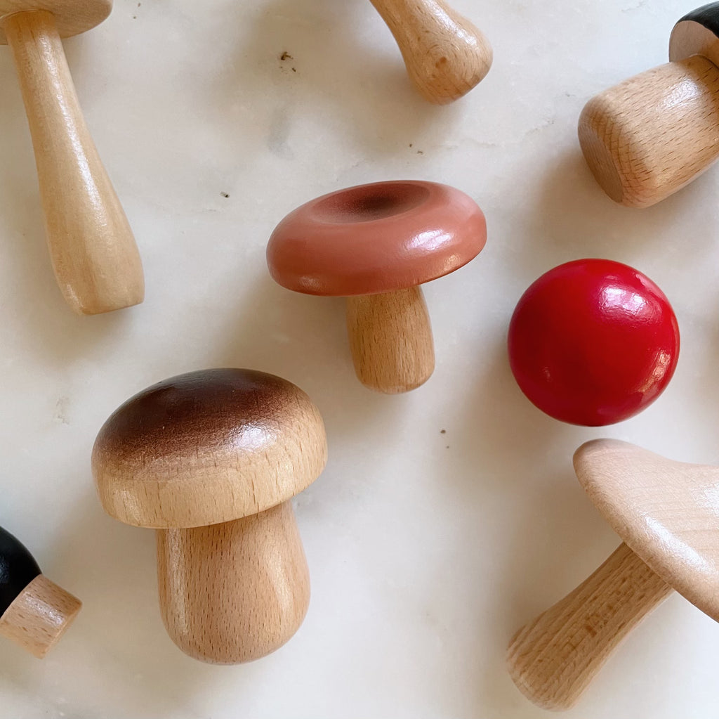 Handpainted Wooden Mushrooms Set