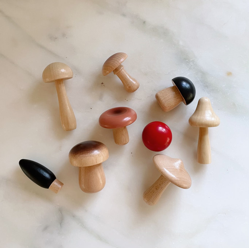 Handpainted Wooden Mushrooms Set