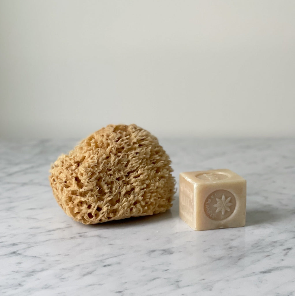Natural Sea Sponge