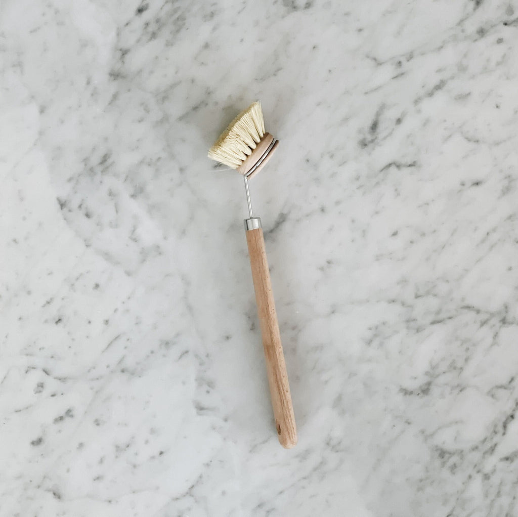 Dish Brush with Handle