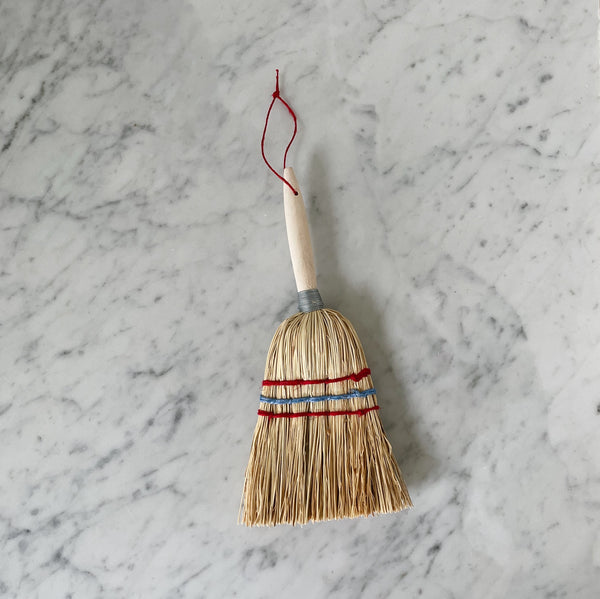 Kid’s Push Broom