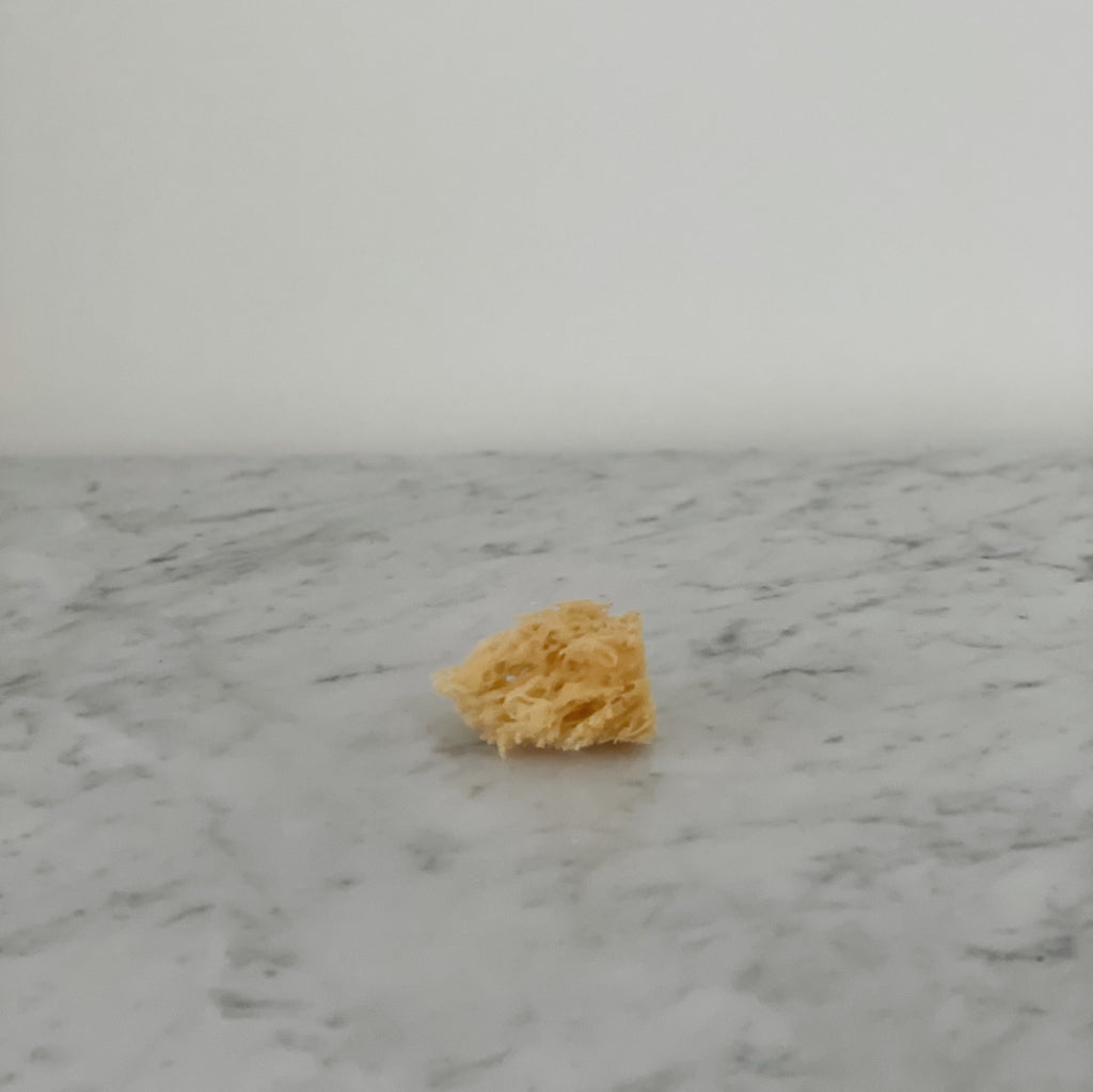 Natural Watercolor Sea Sponge