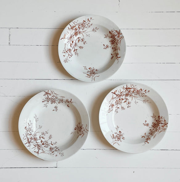 English Ironstone Rimmed Soup Bowl