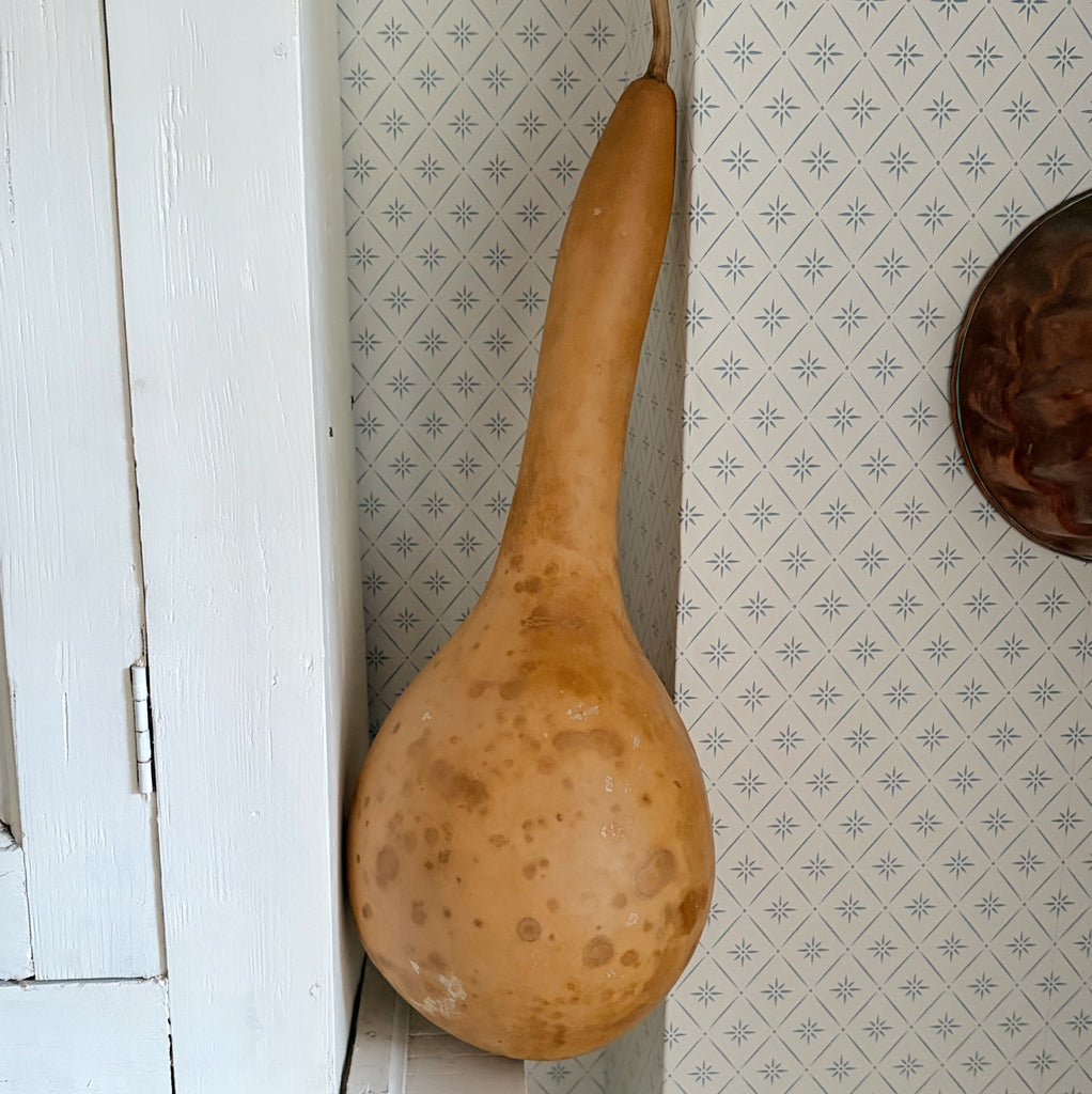Dried Dipper Gourd
