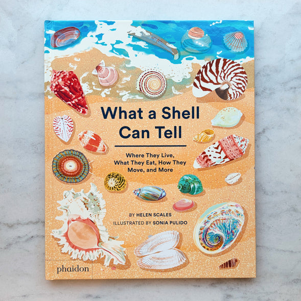 What A Shell Can Tell