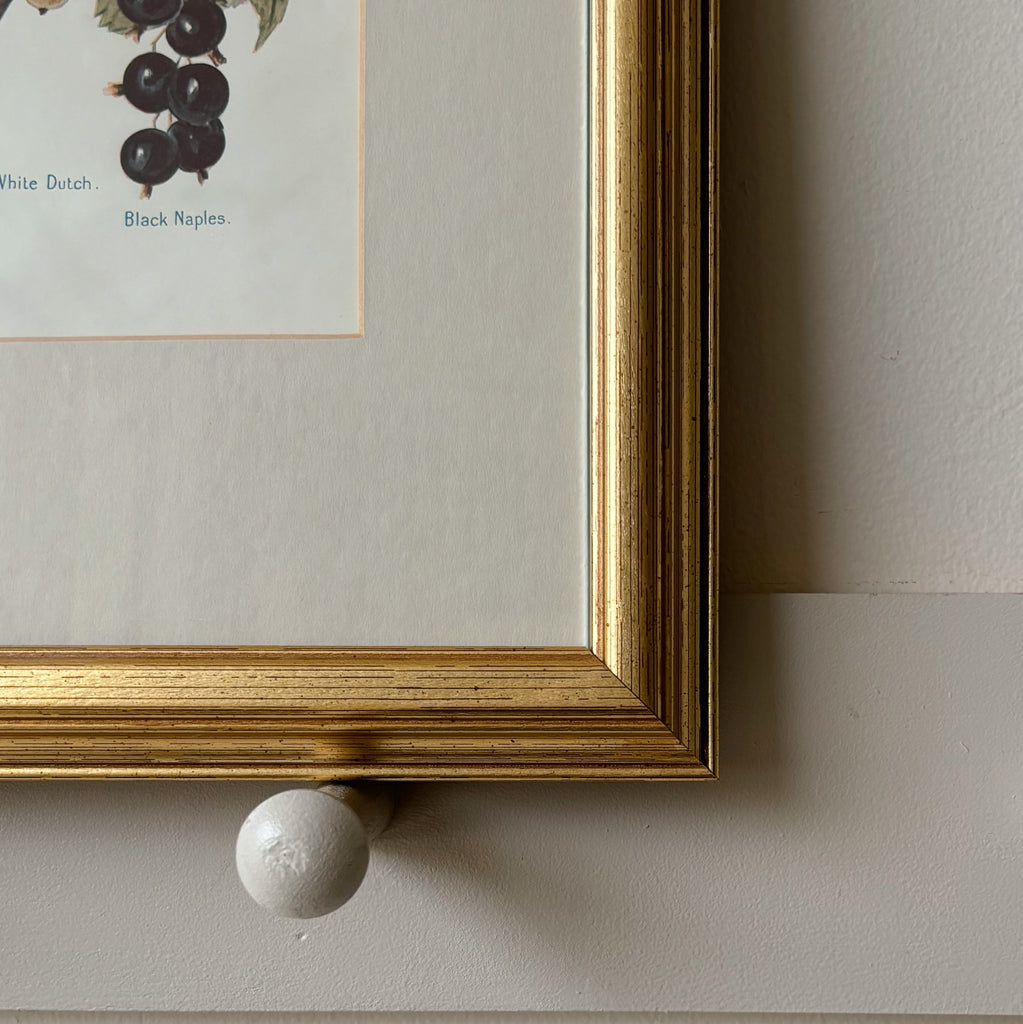 Gold Framed Victoria Grapes Art Print