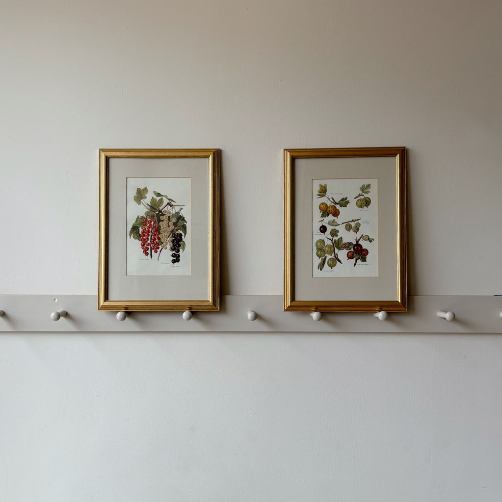 Gold Framed Victoria Grapes Art Print