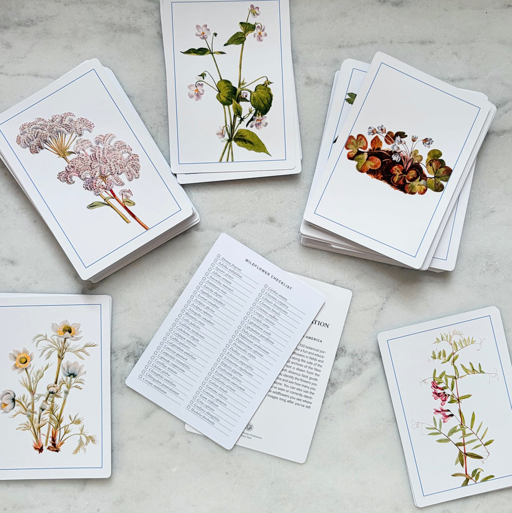 New York Botanical Garden Wildflower Flashcards
