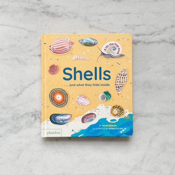 Shells