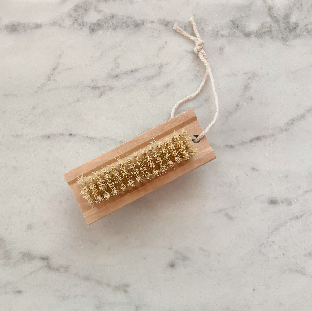 Double Sided Nail Brush