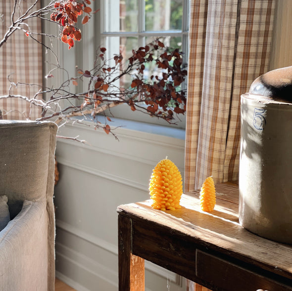 Beeswax Pinecone Candle