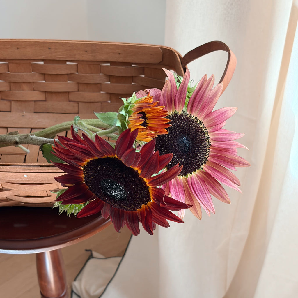 Handwoven Leather-Handled Basket