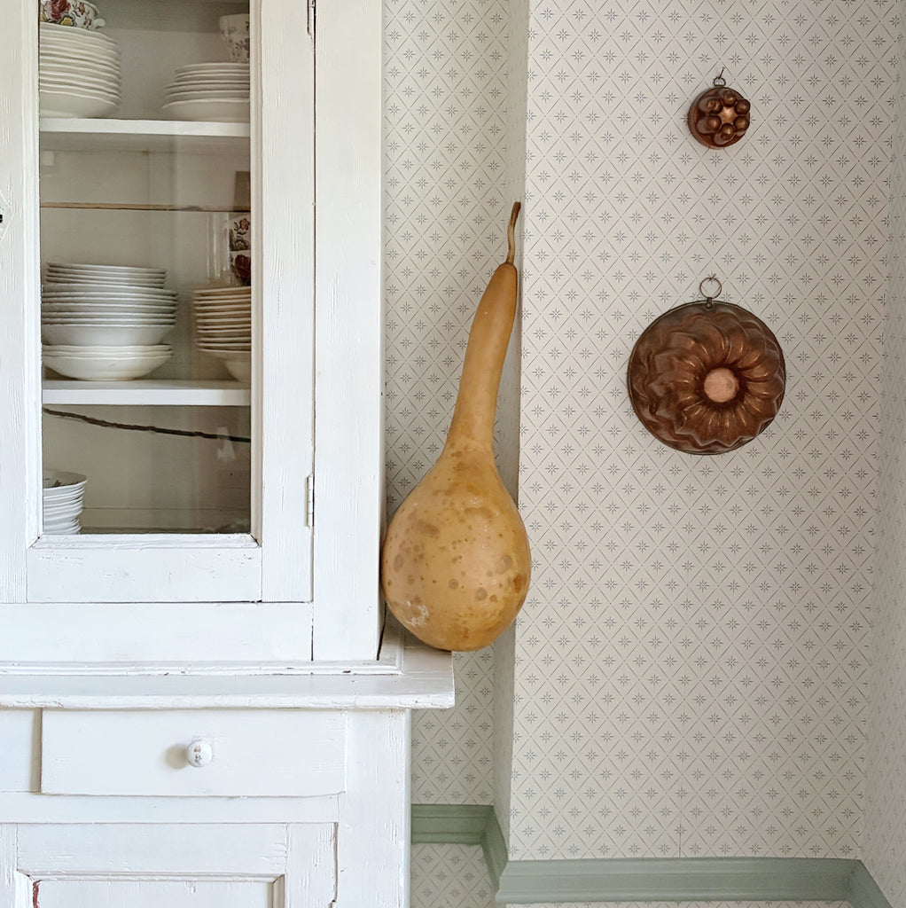 Dried Dipper Gourd