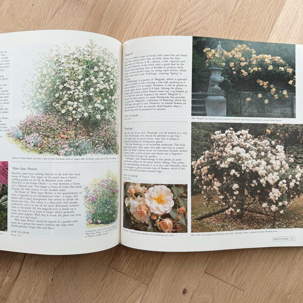 First Edition Vintage Gardening Book