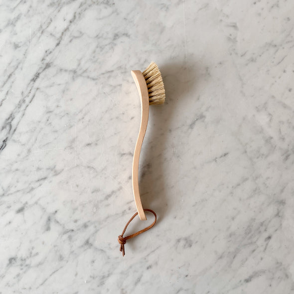 Dish Brush