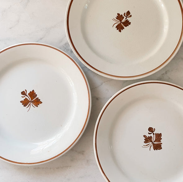 Antique Alfred Meakin Tea Leaf Plate Royal Ironstone China
