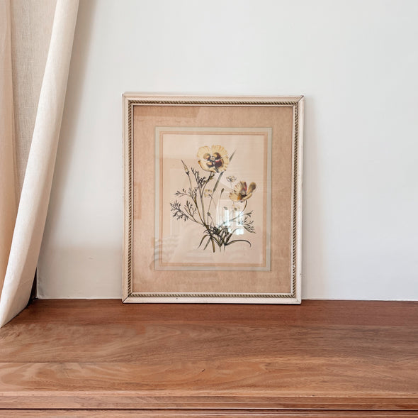 Framed Jane Loudon Poppy Print