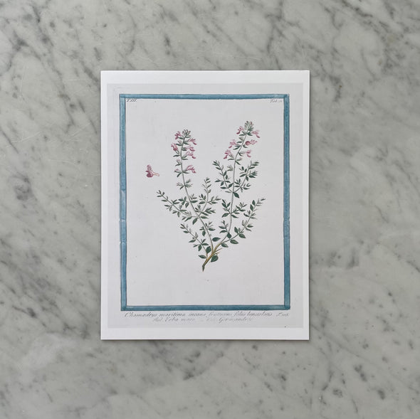 18th Century Pink Floral Buds Art Print