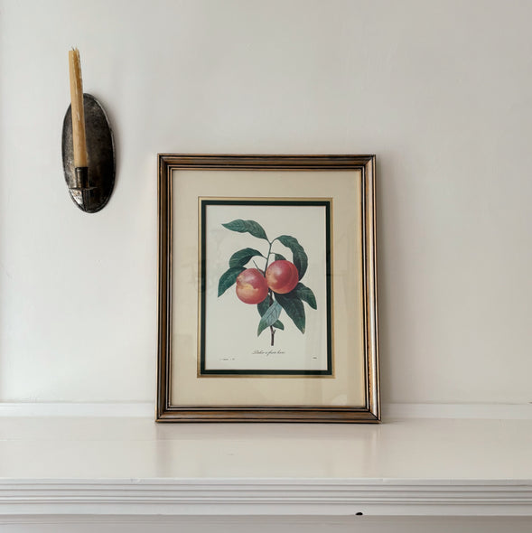 Framed Botanical Plum Print