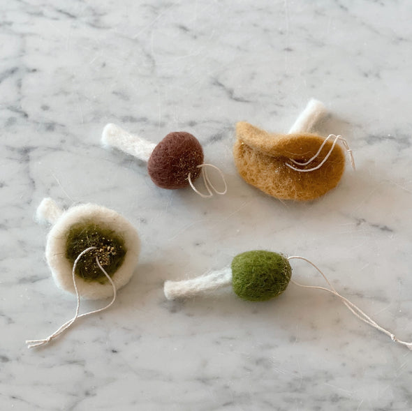 Felted Mushroom Ornament Set