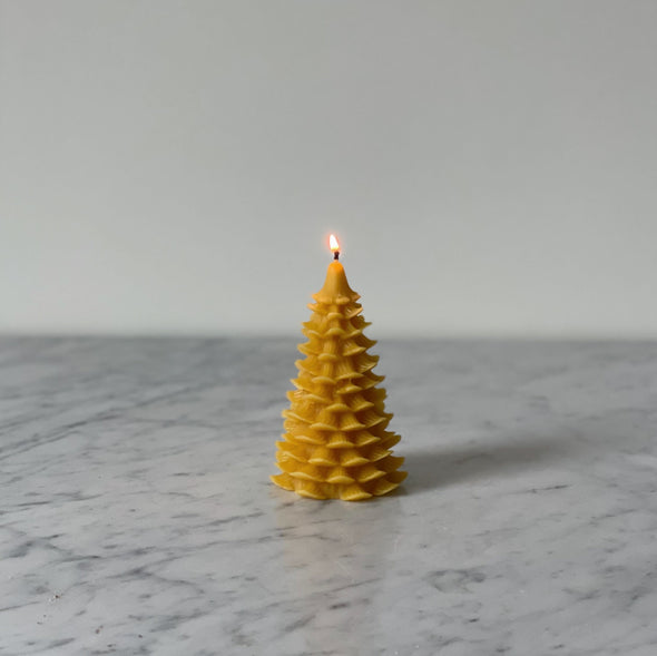 Beeswax Evergreen Candles