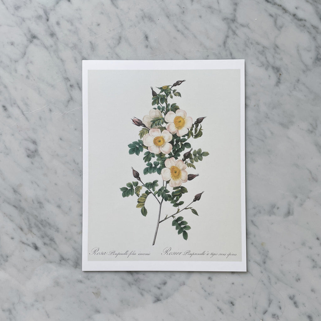 "Wildflower" Print