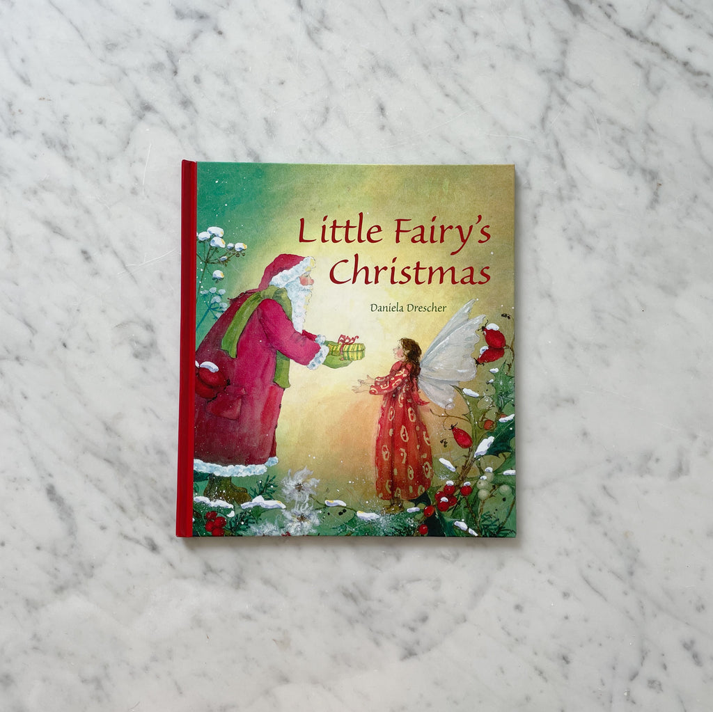 Little Fairy's Christmas Book