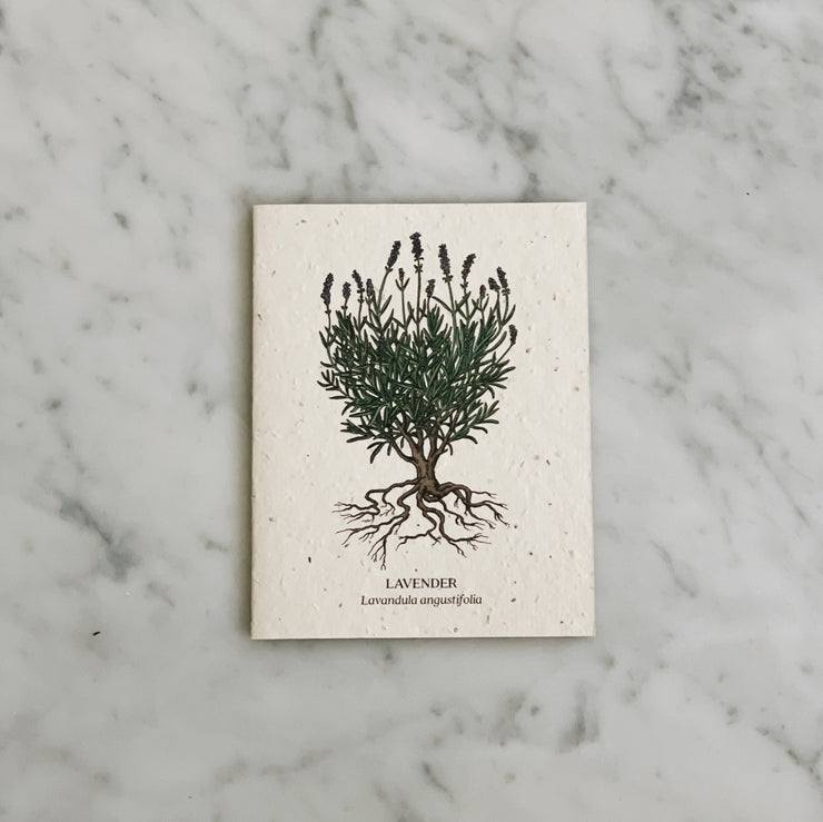 Plantable Seed Cards – Homesong Market