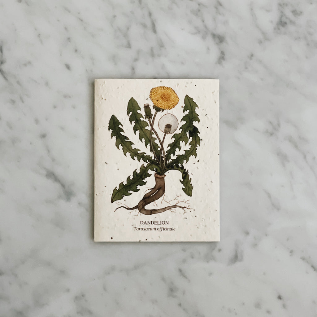 Plantable Seed Cards