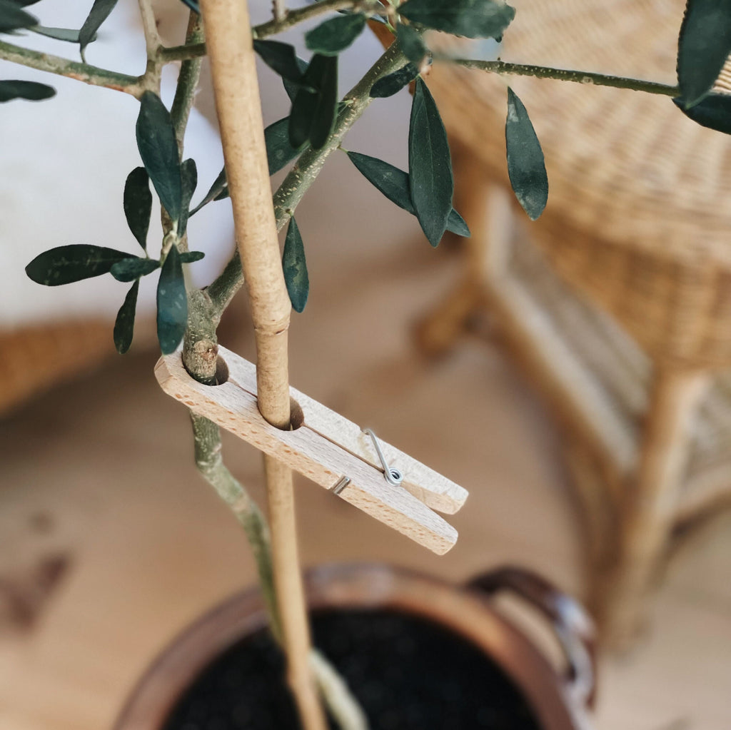 Wooden Planting Clamps