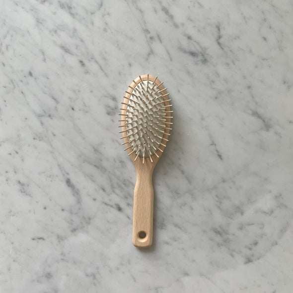 Dish Brush with Handle – Homesong Market