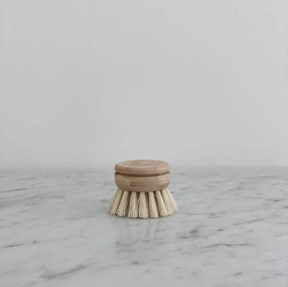 Replacement Head for Dish Brush with Handle