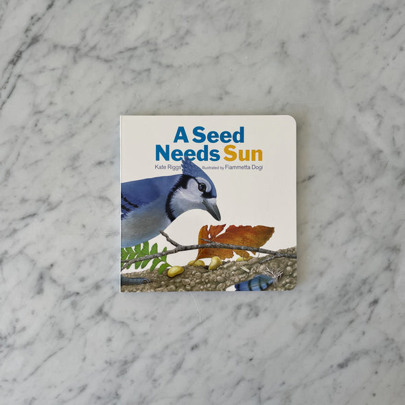 A Seed Needs Sun